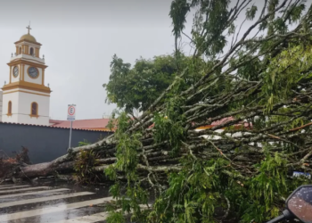 Foto: Reprodução/ EPTV