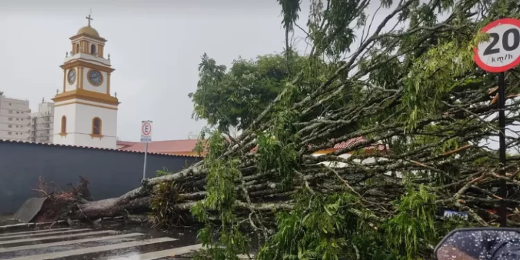 Foto: Reprodução/ EPTV