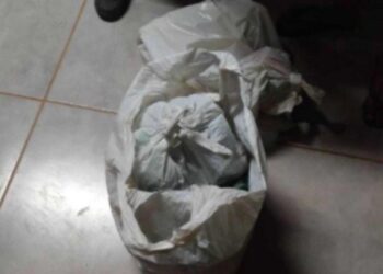 Idoso morre ao ser dopado por cuidadora com medicamentos veterinários