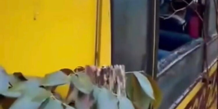 |VÍDEO| Ônibus Escolar de Nova Resende colide em barranco após fortes chuvas