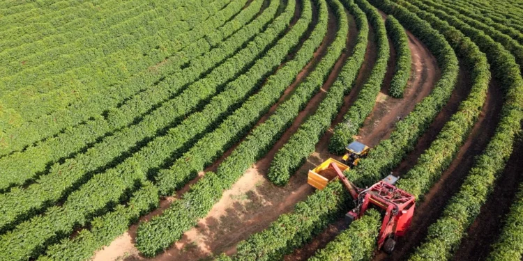 Medida do governo facilitará preço justo e novos mercados, dizem produtores impactados pelo tarifaço