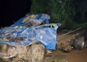 Família fica presa nas ferragens após caminhão capotar na BR-146, em Passos