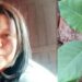 ATUALIZAÇÃO – Mulher morre após intoxicação por “falsa couve”; familiares seguem internados em estado grave