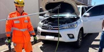 SUSTO – Cobra surpreende motorista ao se esconder dentro de carro em Campo Belo