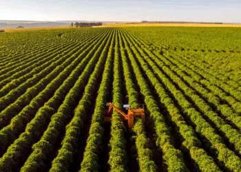 AGRO PEDE SOCORRO – Mesmo com safra boa, cresce o número de produtores indo à Justiça por causa de dívidas