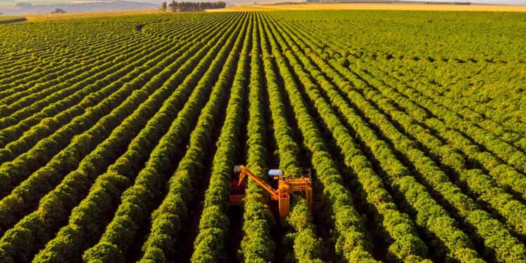 AGRO PEDE SOCORRO – Mesmo com safra boa, cresce o número de produtores indo à Justiça por causa de dívidas