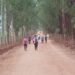 Cássia se prepara para a Primeira Peregrinação do Caminho de Santa Rita: jornada de fé e esperança