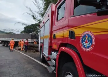 Carreta colide com árvore e causa bloqueio parcial da MGC-491