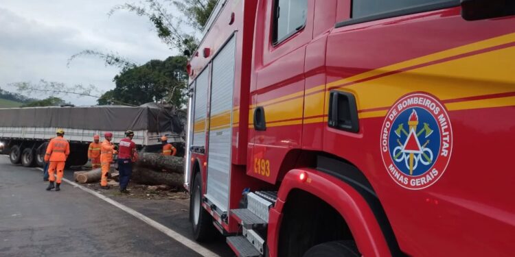 Carreta colide com árvore e causa bloqueio parcial da MGC-491