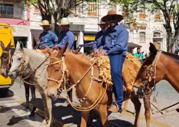 VÍDEO | Comitiva Topa Parada de Carmo chega a Aparecida do Norte após vários dias de cavalgada