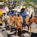 VÍDEO | Comitiva Topa Parada de Carmo chega a Aparecida do Norte após vários dias de cavalgada