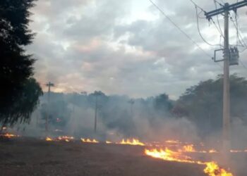 Queimadas deixam 11 mil sem energia 