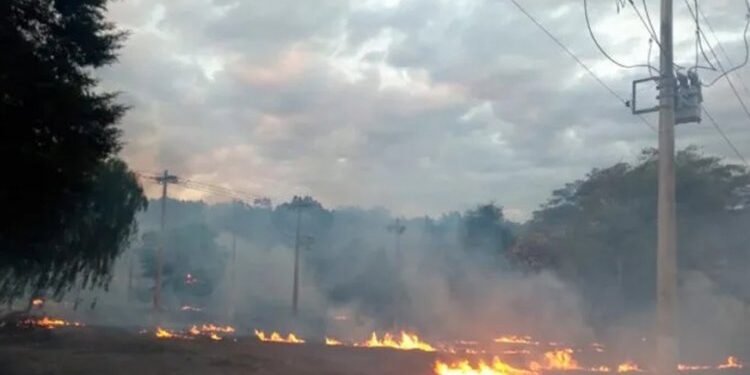 Queimadas deixam 11 mil sem energia 