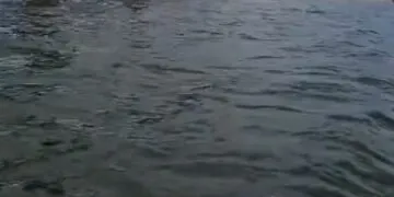 VÍDEO | Piloto de jet ski alerta para risco após baixa do Lago de Furnas expor ponte antiga