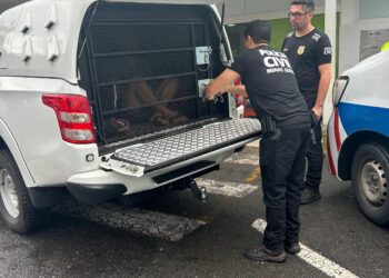 Polícia Civil prende dois suspeitos de envolvimento em homicídio