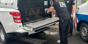 Polícia Civil prende dois suspeitos de envolvimento em homicídio