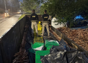 PRF apreende 5,4 toneladas de maconha escondidas em carga de madeira na Fernão Dias