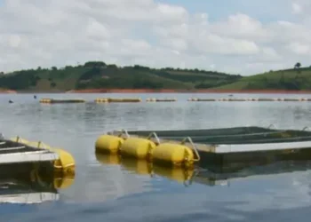 Nova lista ambiental preocupa criadores de tilápia no Lago de Furnas