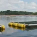 Nova lista ambiental preocupa criadores de tilápia no Lago de Furnas