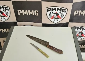 Mulher é detida suspeita de esfaquear o ex-companheiro durante discussão