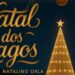 |VÍDEO| Capitólio inaugura MAIOR ÁRVORE de NATAL sobre as águas de Minas Gerais