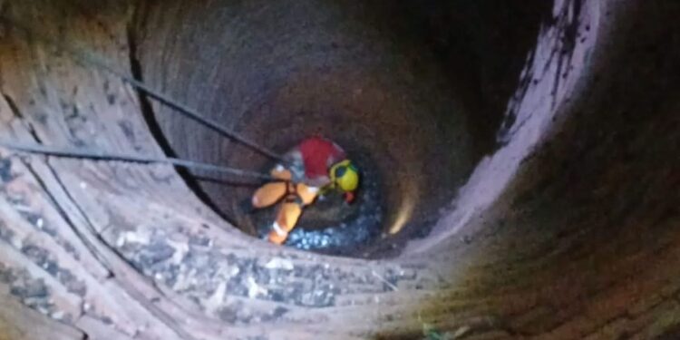 Bezerro é resgatado de cisterna de 20 metros em Passos