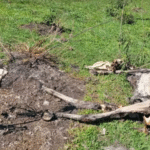 FOTO: REPRODUÇÃO/EPTV