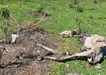 FOTO: REPRODUÇÃO/EPTV