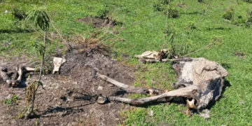 FOTO: REPRODUÇÃO/EPTV