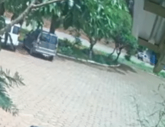 VÍDEO | Câmeras flagram momento de acidente que matou jovem na MG-184 próximo a Carmo