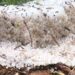 ATUALIZAÇÃO | Temporal com granizo causa estragos em Carmo e Conceição da Aparecida e deixa região em alerta