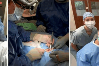 Cientista brasileira cria caneta que detecta câncer em 10 segundos