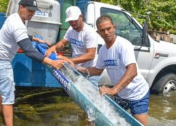 Peixamento fortalece pesca artesanal no Norte 