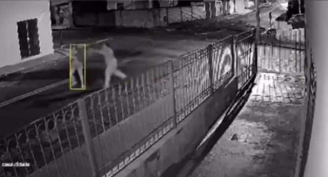 VÍDEO | Mulher é atacada enquanto segurava bebê em Alterosa; moradores se mobilizam após cenas de violência