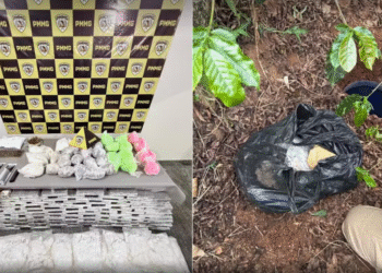 Mais de 100 kg de drogas são apreendidos em ação da PM