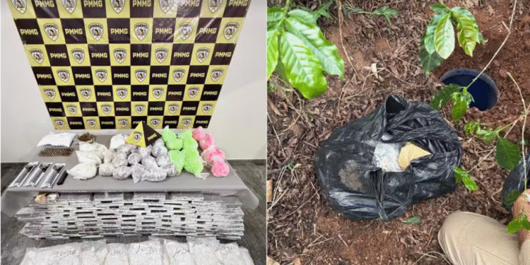 Mais de 100 kg de drogas são apreendidos em ação da PM