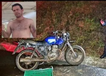 Acidente envolvendo vaca deixa motociclista morto na BR-146
