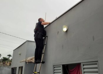 Polícia realiza operação e prende homem de 26 anos investigado por furtos na zona rural