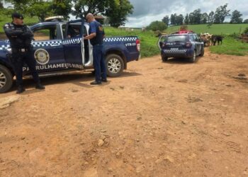 Escola identifica sinais de violência em criança na zona rural