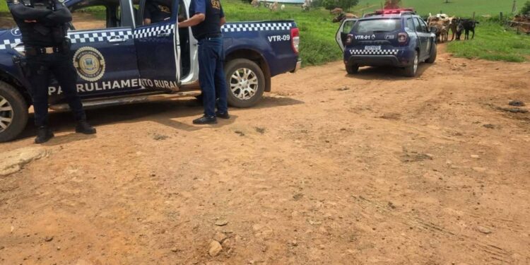 Escola identifica sinais de violência em criança na zona rural