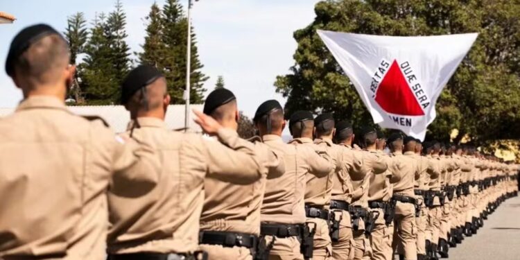 Foto: PMMG/Divulgação