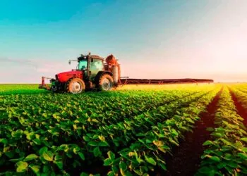 Inadimplência no agro cresce e crédito fica mais difícil para produtores