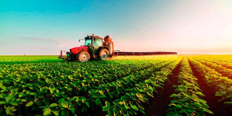 Inadimplência no agro cresce e crédito fica mais difícil para produtores