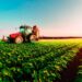 Inadimplência no agro cresce e crédito fica mais difícil para produtores