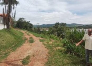 Morador de Carmo buscou ajuda URGENTE para árvore prestes a atingir fios; veja como está a situação