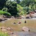 Calor eleva risco de afogamentos e Sul de Minas registra três casos