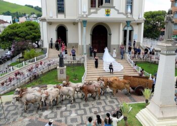 VÍDEO| Noiva chega de carro de boi e casamento rural viraliza em MG