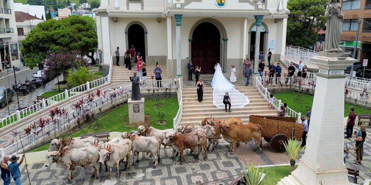 VÍDEO| Noiva chega de carro de boi e casamento rural viraliza em MG
