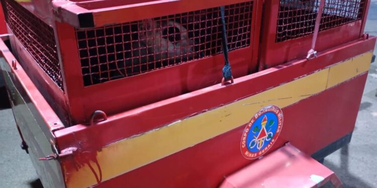 Após adotarem Pitbull, o animal ataca filha de 3 anos da família; criança teve perna lacerada