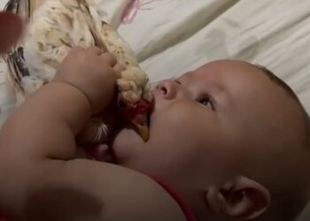 Vídeo| Bebê tenta morder frango vivo e internautas dizem: “assim que nasce um mineiro raiz”